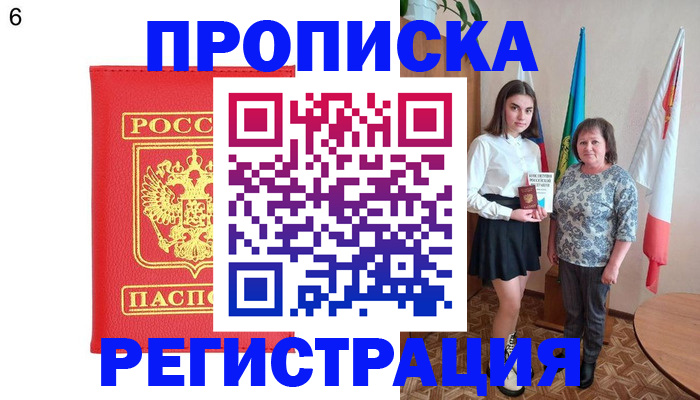 временная регистрация поиск в Белгородской области